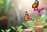 Lãnh đạo doanh nghiệp niêm yết trải lòng sau một năm gian khó 