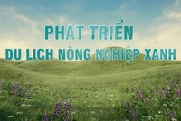 Phát triển nông nghiệp xanh, bền vững gắn với mô hình du lịch nông thôn 