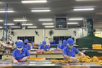 Nhiều doanh nghiệp quy mô lớn, thương hiệu mạnh tham gia cung ứng, phân phối các mặt hàng thiết yếu phục vụ Tết Nguyên đán.