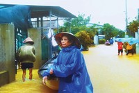 Rủi ro về thiên tai đang là vấn đề “đau đầu” của các doanh nghiệp bảo hiểm