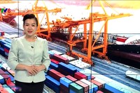 Chương trình Kinh tế đầu tư phát sóng trên kênh VTV8