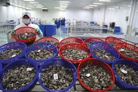 Hai thị trường xuất khẩu lớn nhất của ngành thủy sản Việt Nam là Mỹ và Trung Quốc