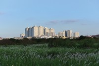 Không ít doanh nghiệp nắm giữ trong tay hàng chục dự án mà không thể triển khai. Ảnh: Dũng Minh 