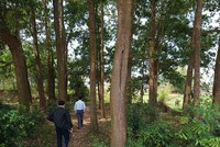 Đất nền đang được quan tâm trở lại