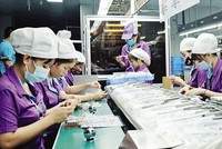 Nghệ An đã vươn lên trở thành một điểm sáng trong thu hút đầu tư nước ngoài. Trong ảnh: Nhà máy của Luxshare - ICT tại Nghệ An