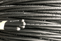 Doanh nghiệp Việt có thể nộp thư xin gia hạn thời gian trả lời bản câu hỏi tới DOC, nêu rõ lý do và đề xuất thời gian gia hạn.