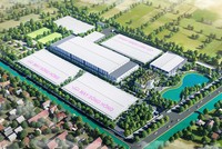 Phối cảnh Nhà máy Sông Hồng – Xuân Trường 2 