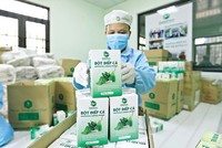 Đã xuất hiện “làn sóng ngược” của những người trẻ quyết tâm trở về quê hương khởi nghiệp nông nghiệp dựa trên những lợi thế sẵn có