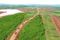 Ảnh minh hoạ. (Nguồn: Internet)