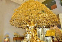 Ngắm cây bồ đề được mạ vàng 24k tại TP.HCM