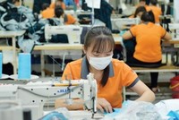 Quảng Ngãi hỗ trợ lãi suất hàng chục tỷ đồng cho doanh nghiệp