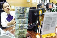 Tỷ giá được dự báo chỉ tăng 1,5-2,5% trong năm 2024. Ảnh: Đức Thanh