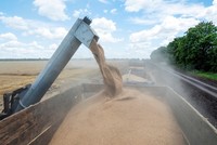 Nông dân thu hoạch lúa mỳ trên cánh đồng ở vùng Kharkiv, Ukraine ngày 19/7/2022. (Ảnh: AFP/TTXVN)