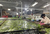 Xuất khẩu hàng hóa sang Trung Quốc tăng trưởng 6,4% trong năm 2023.