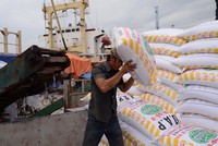 Việt Nam chi 1,41 tỷ USD nhập khẩu phân bón các loại.