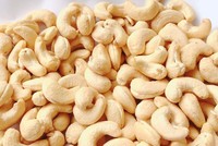 Nhiều dư địa tăng trưởng xuất khẩu điều trong năm 2024