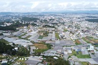 Lâm Đồng dự kiến tổ chức Hội nghị công bố Quy hoạch tỉnh trong tháng 3/2024