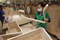 Có gì trong bức tranh đăng ký doanh nghiệp tháng đầu năm 2024