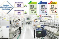 Cả số dự án và số vốn đầu tư nước ngoài đăng ký mới đều tăng trong tháng đầu năm 2024, với mức tương ứng là 24,2% và 66,9% so với cùng kỳ năm trước. Ảnh: Đức Thanh. Đồ họa: Đan Nguyễn