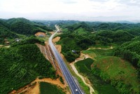 Ảnh minh hoạ. (Nguồn: Internet)