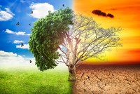 Biến đổi khí hậu khiến phát triển bền vững trở thành mệnh lệnh