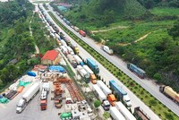 Thủ tướng yêu cầu trước mắt hỗ trợ khai thác tuyến vận tải container đường sắt liên vận quốc tế Việt - Trung, giảm ùn ứ, ách tắc đường bộ qua cửa khẩu.