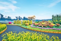 Rực rỡ đường hoa Home Hanoi Xuân 2024