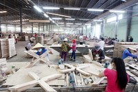 Ngành gỗ ghi nhận tín hiệu khả quan đầu năm mới