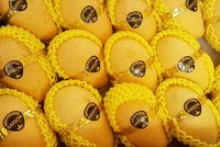 Xoài Việt Nam có nhiều dư địa tăng xuất khẩu sang Hàn Quốc, nhưng đi kèm theo đó là yêu cầu nghiêm ngặt về chất lượng.