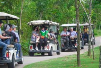 Xe điện sẽ được công ty Saigon Public Transport triển khai từ ngày 1/3/2024.