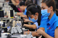 Ảnh minh hoạ. (Nguồn: Internet)