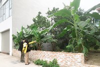 Thời gian này, nhiều người không còn mạnh dạn xuống tiền mua đất nền như trước. Ảnh: Thanh Vũ