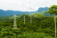 Ảnh minh hoạ. (Nguồn: Internet)