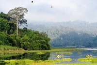 Ảnh minh hoạ. (Nguồn: Internet)