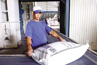 Năm 2024, với khả năng sản xuất 43 triệu tấn thóc, ngành gạo đảm bảo đáp ứng tiêu thụ trong nước và xuất khẩu Ảnh: Đ.T