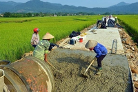 Ảnh minh hoạ. (Nguồn: Internet)