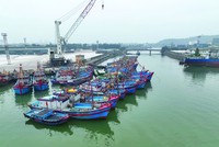 Một cảng cá ở Cửa Lò, ảnh minh hoạ.