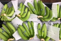 Việt Nam đã vượt qua Chile để trở thành nhà cung cấp rau quả tại thị trường tỷ dân.