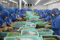 Hai sản phẩm xuất khẩu chủ lực của ngành thủy sản Việt Nam là tôm và cá tra