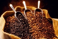 Doanh thu từ xuất khẩu cà phê tăng vọt trong 2 tháng đầu năm, mang về 1,38 tỷ USD.