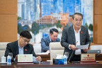 Trưởng ban Dân nguyện Dương Thanh Bình trình bày báo cáo.