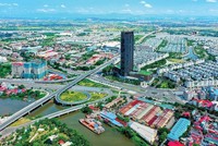 Ảnh minh hoạ. (Nguồn: Internet)