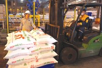 Tấn đạm thứ 15 triệu đã được PVFCCo đóng bao vào ngày 10/10/2023