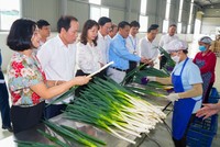 Hải Phòng đẩy nhanh tiến độ xây dựng xã nông thôn mới kiểu mẫu