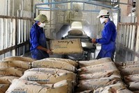 Xuất khẩu xi măng, clinker quý I/2024 chỉ mang về chưa đầy 300 triệu USD.