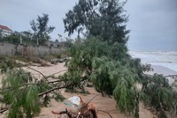 Tình trạng xâm thực nước biển gây sạt lở bờ biển tại phường Quảng Phúc, thị xã Ba Đồn