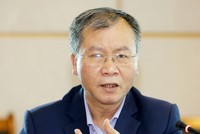 TS. Vũ Đình Ánh, Chuyên gia kinh tế