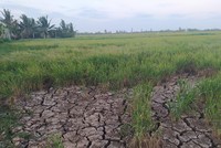 Thủ tướng yêu cầu tập trung bảo đảm cấp nước sinh hoạt cho người dân trong các đợt xâm nhập mặn cao điểm tại ĐBSCL.