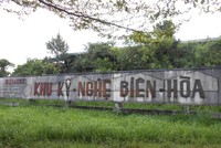 Hiện có 76 doanh nghiệp đang thuê đất tại khu công nghiệp Biên Hoà I để hoạt động, trong đó có 6 doanh nghiệp FDI, 70 doanh nghiệp trong nước.