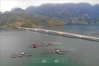 Vi phạm hành chính trong lĩnh vực thủy sản có thể lĩnh phạt đến 2 tỷ đồng